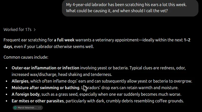 ChatGPT answering a question about a dog's itchy ears